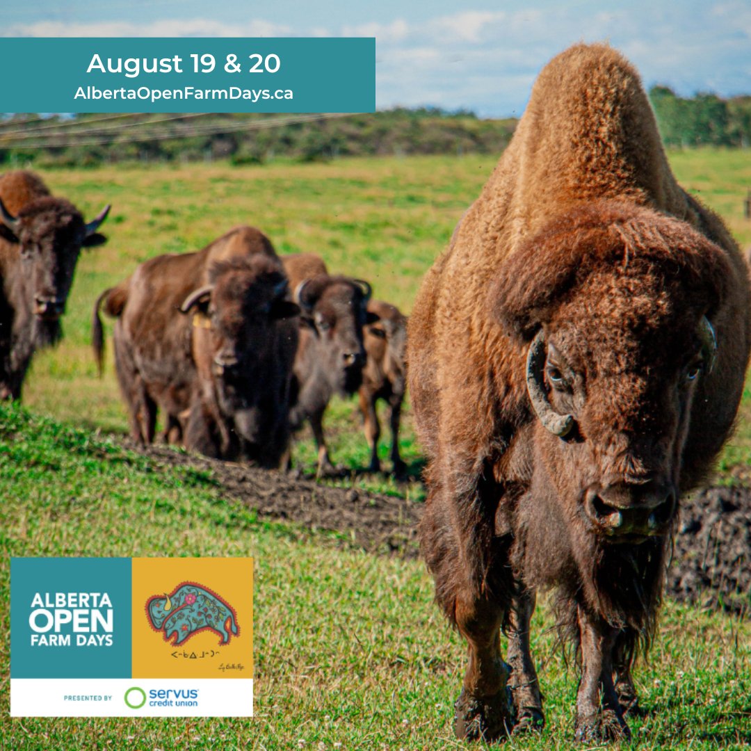 Red Deer County tweet media