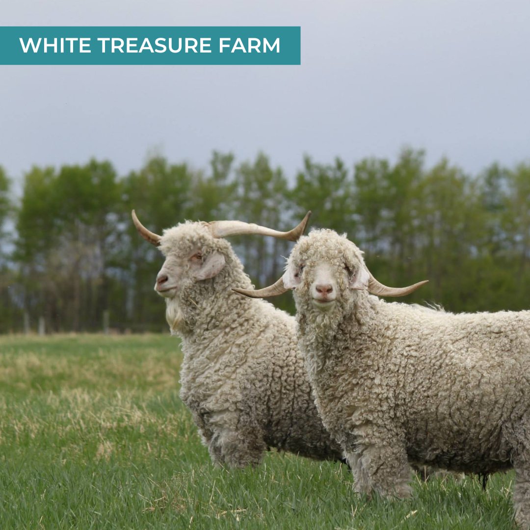 Red Deer County tweet media