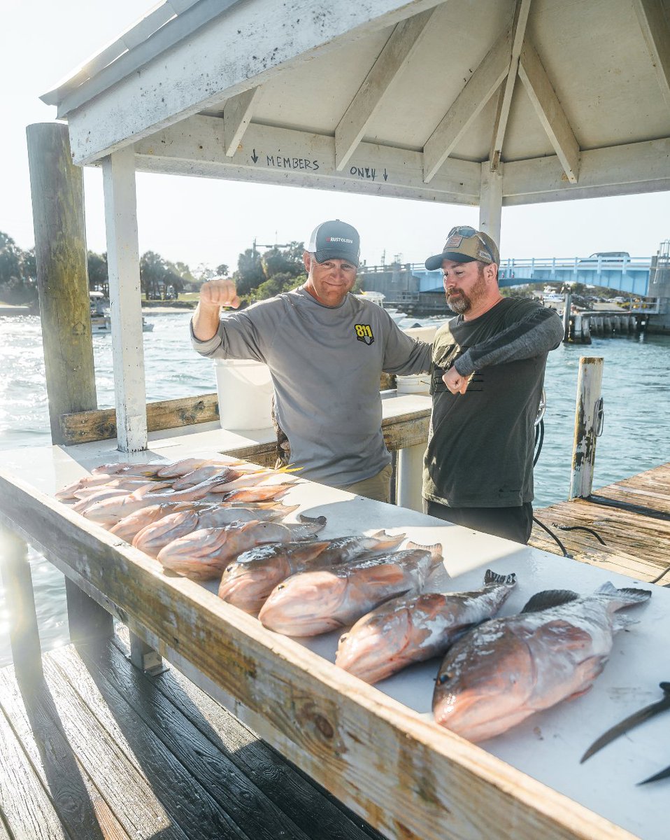 One Call Concepts tweet media