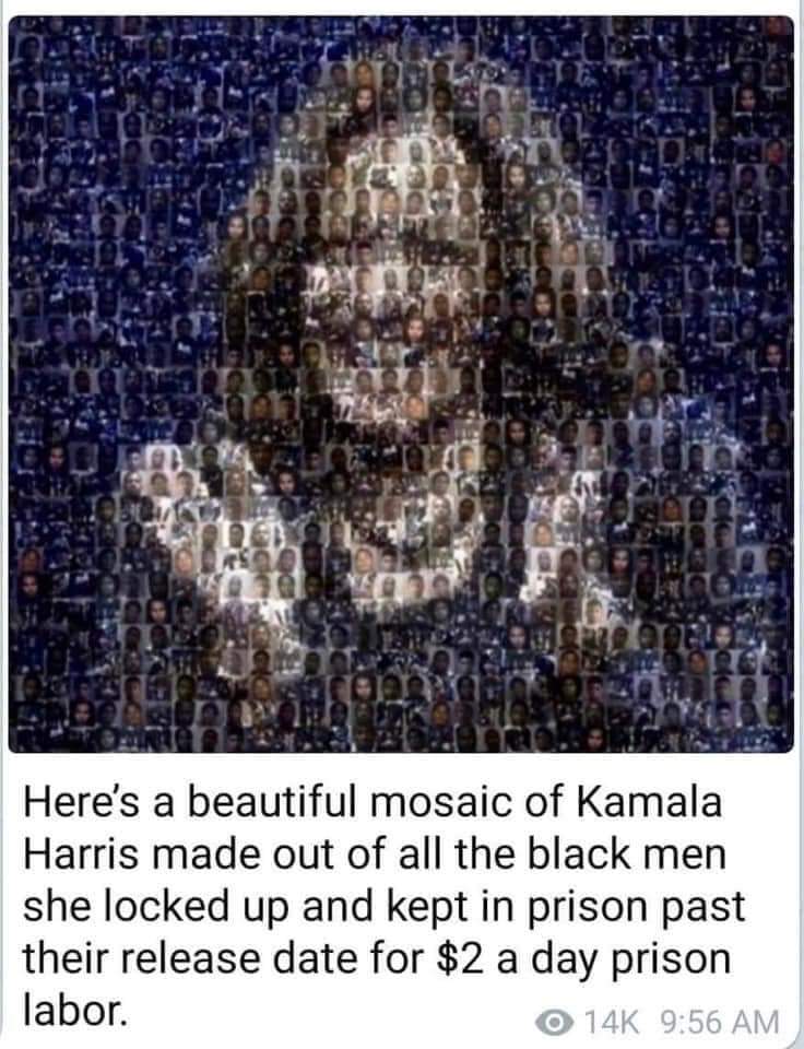 seidlined's tweet photo. @KamalaHarris Kamala Harris is a slaver. https://t.co/747LnJh7qD