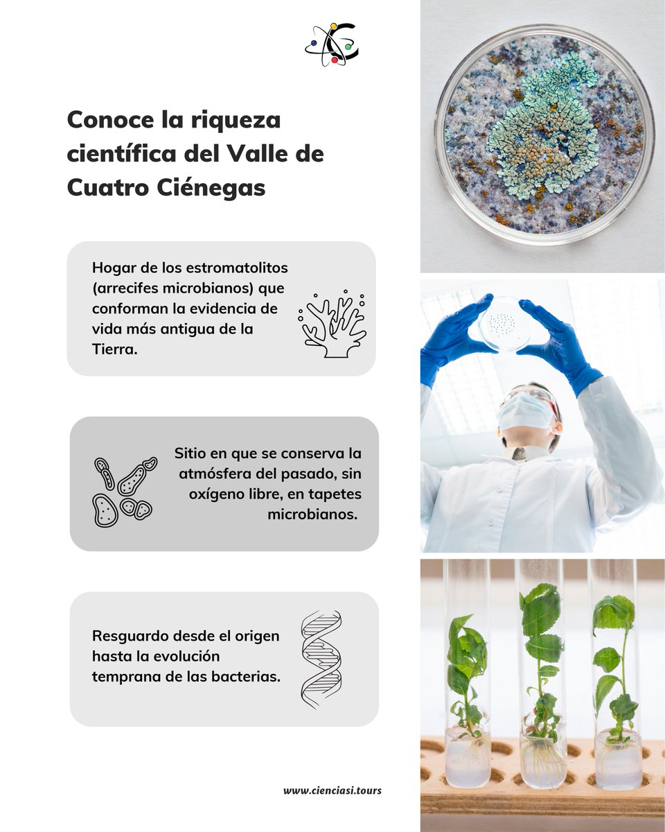 COECYT Coahuila tweet media