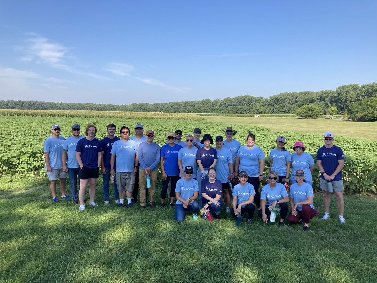 themontgomery4's tweet image. Today, Crowe closed it’s offices so my colleagues and I could focus on volunteering in our first ever #CroweCares Day. I spent the morning helping #ConnerPrairie weed its sunflower fields and making a positive impact in my community. #GoCrowe