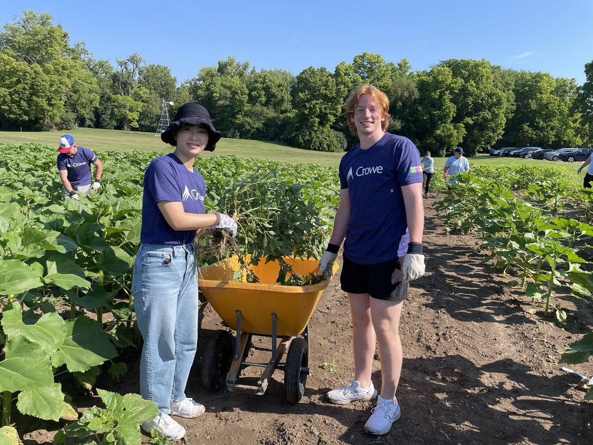 themontgomery4's tweet image. Today, Crowe closed it’s offices so my colleagues and I could focus on volunteering in our first ever #CroweCares Day. I spent the morning helping #ConnerPrairie weed its sunflower fields and making a positive impact in my community. #GoCrowe
