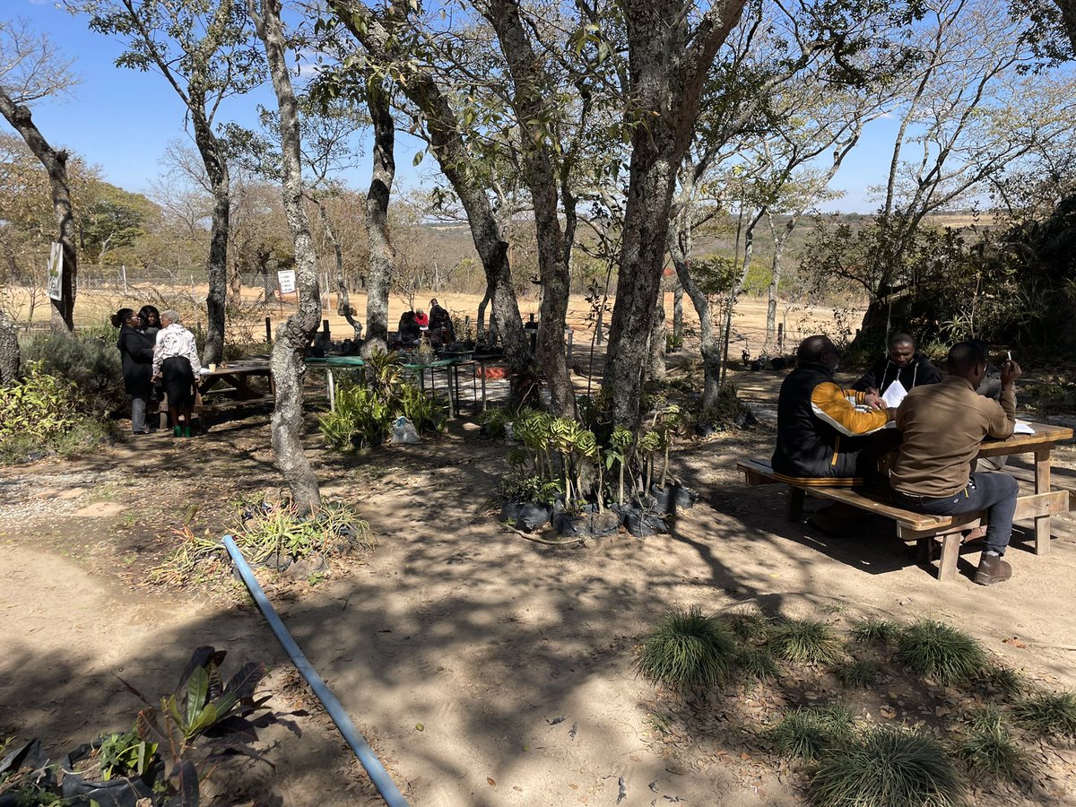 EdTransform_UK's tweet photo. Another inspirational day with amazing leaders across Wise Owl group of schools in Zimbabwe today. Creative and collaborative! @GreatDenhamPS @ScarthoJ @kerrylilico @ChapelBreak @TheWherrySchool https://t.co/i8PX83JqEL