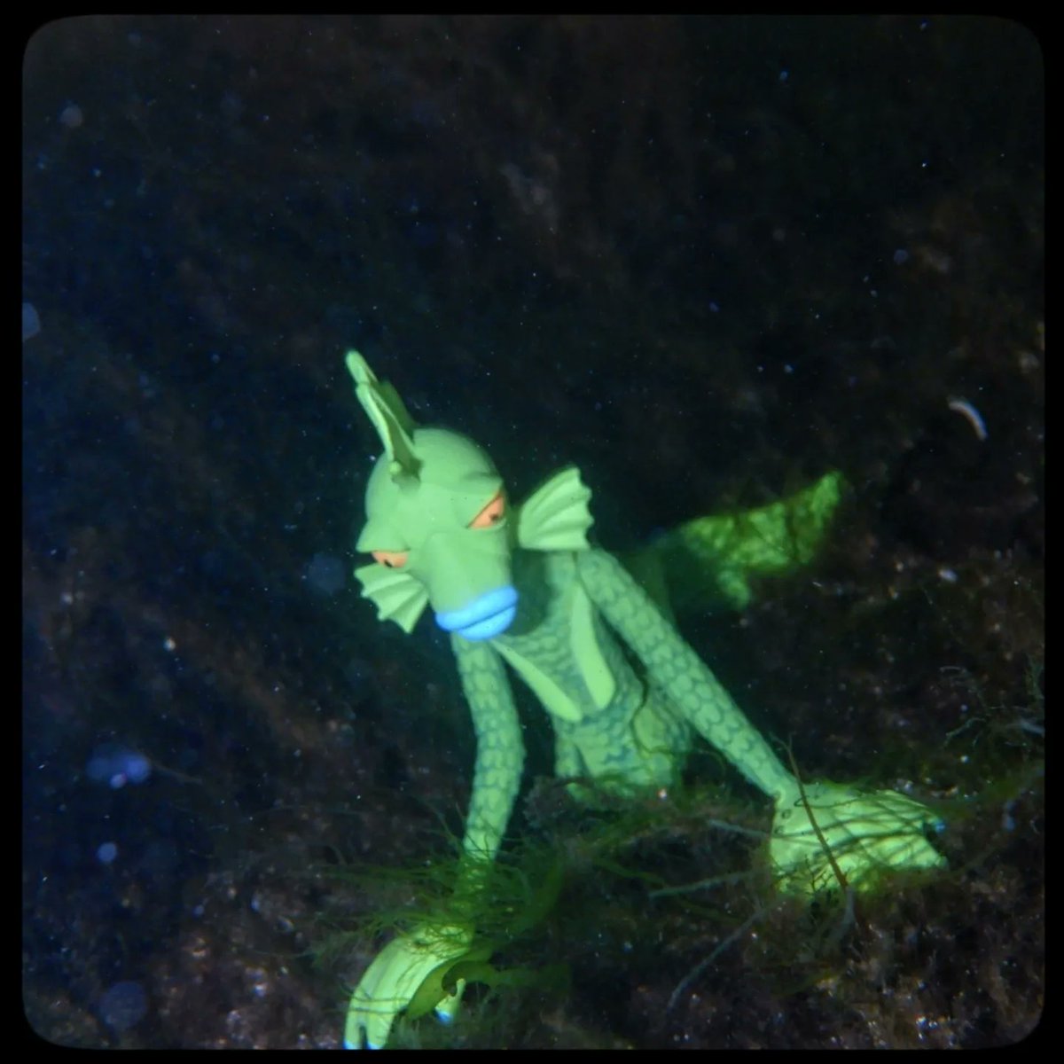KrakenKapers's tweet photo. Enchantment Under the Sea
#kraken #underseagal #dancingandromancing #actionforce #gijoe #palitoy #krakenkapers #nightmarebeforechristmas #super7 #reactionfigures #underwater #actionfigurephotography #toyphotography #bloodforthebaron https://t.co/q1a27JQ0Ue