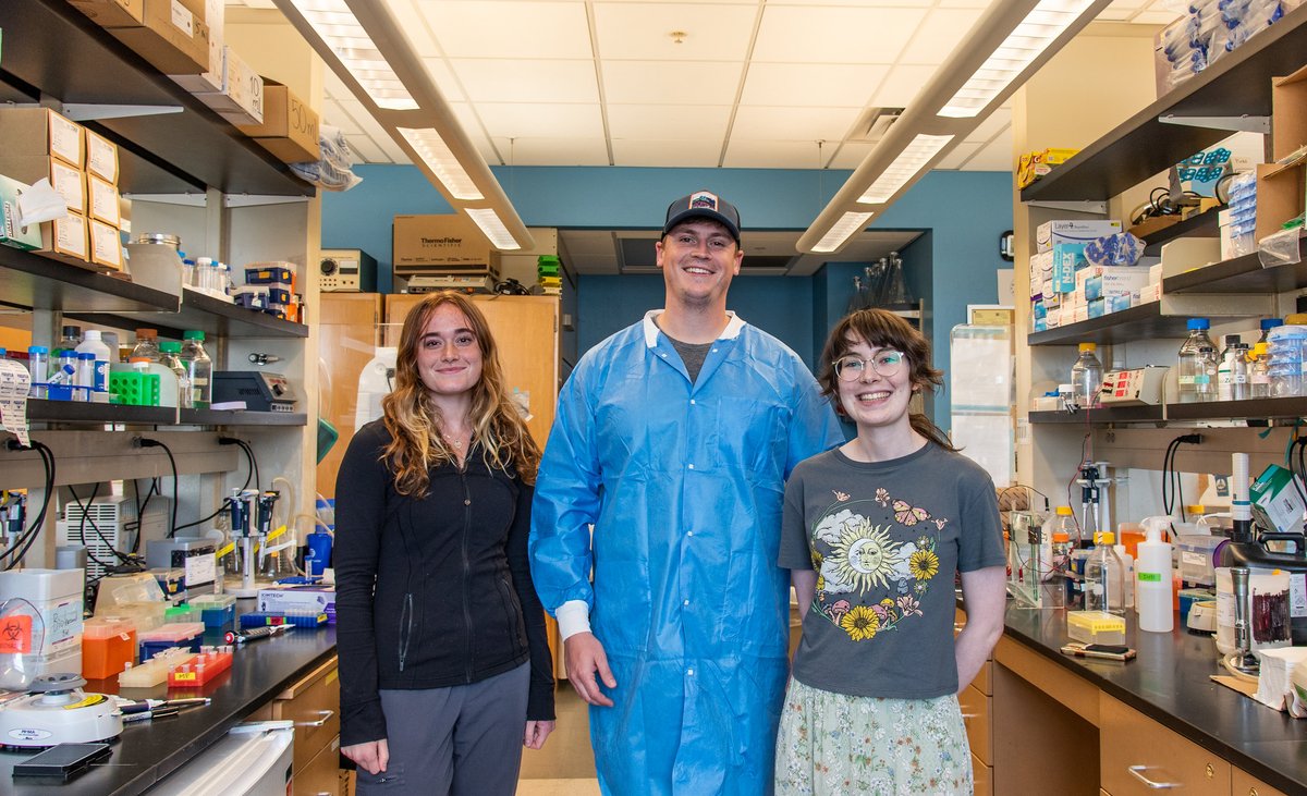 BondLifeSci's tweet photo. Grad student Brian Thomas and undergraduates Michaela Beedy and Margaret Beecher are working  to refine aptamers that could better target cancer treatments to kill tumors. 

https://t.co/H4qBXagJ93 https://t.co/kaayPKUkhh