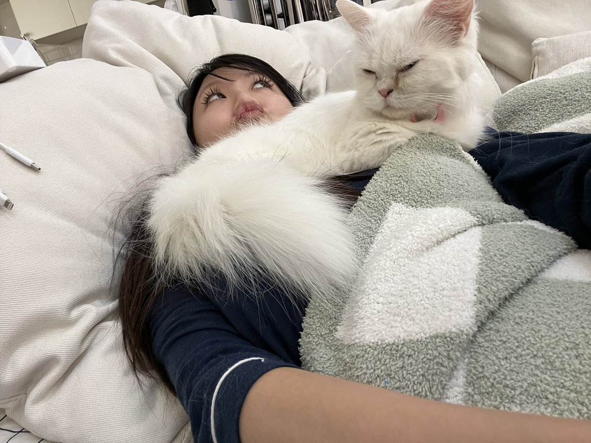annoyingaria's tweet photo. Mayo is more sensitive to any sudden noises now... should get better with time methinks! She is still the same ol affectionate girl! Choking me out with how she lays on my neck ...💀

Wouldn't have it any other way though 🥰 https://t.co/dzsNE7pAYA