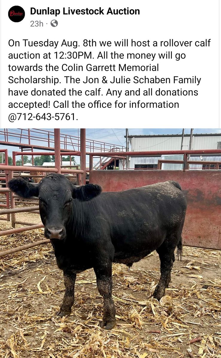 Jake Schaben tweet media