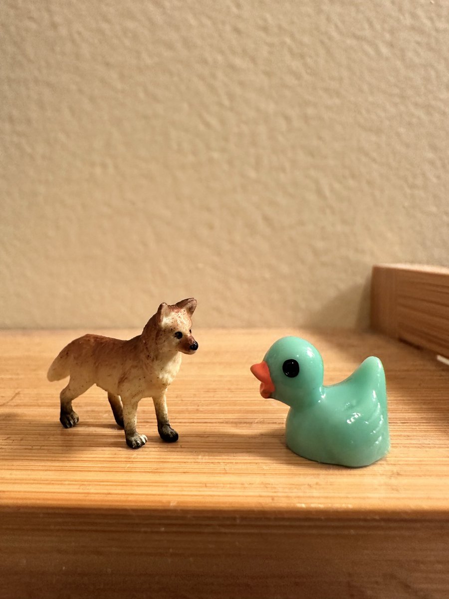 benvoluto's tweet photo. @k8_lister My sister planted a bunch of the very same ducks in my room to annoy me, I took them with me to California, sent her many pictures :) https://t.co/UaWvwPABVx