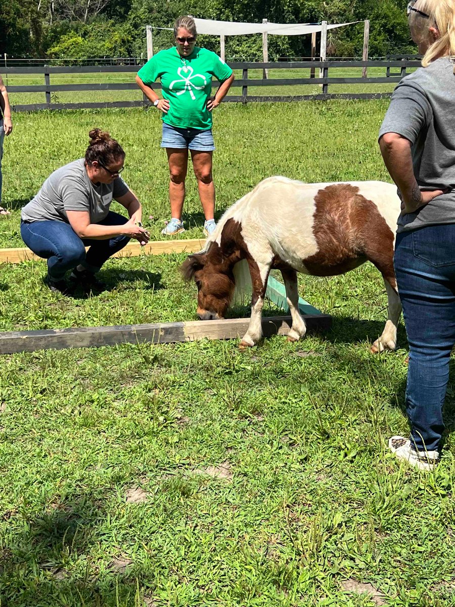 MichaelRemole's tweet photo. We had a great time with the principals & some of the teachers from Mark Denman Elementary School! This incredible team spent the day working hard to plan for a great year with our kids! It’s going to be an amazing year together.
#gatewayfamilyservices #horseshelpinghumans https://t.co/semilVyTNs