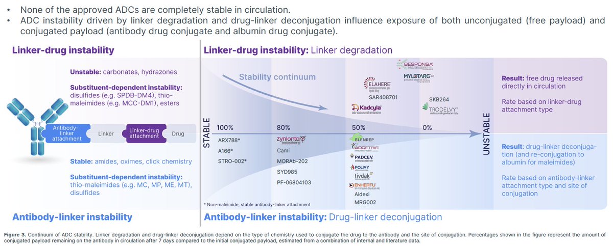 T-DXd has been considered a "stable" ADC. The chemistry of the conjugation didn't reflect the stability.  

Finally a publication that covers the DAR over time of T-DXd! And it matches well what we presented at #AACR23 on ADC instabilities (50% conjugated drug remaining in 7 d)!