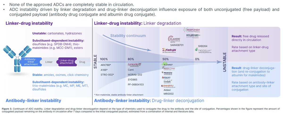 T-DXd has been considered a 'stable' ADC. The chemistry of the conjugation didn't reflect the stability.  

Finally a publication that covers the DAR over time of T-DXd! And it matches well what we presented at #AACR23 on ADC instabilities (50% conjugated drug remaining in 7 d)!