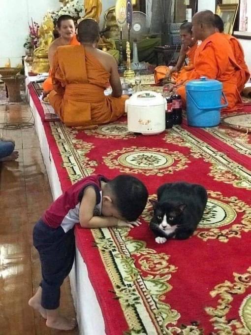 กราบหลวงตาดำ