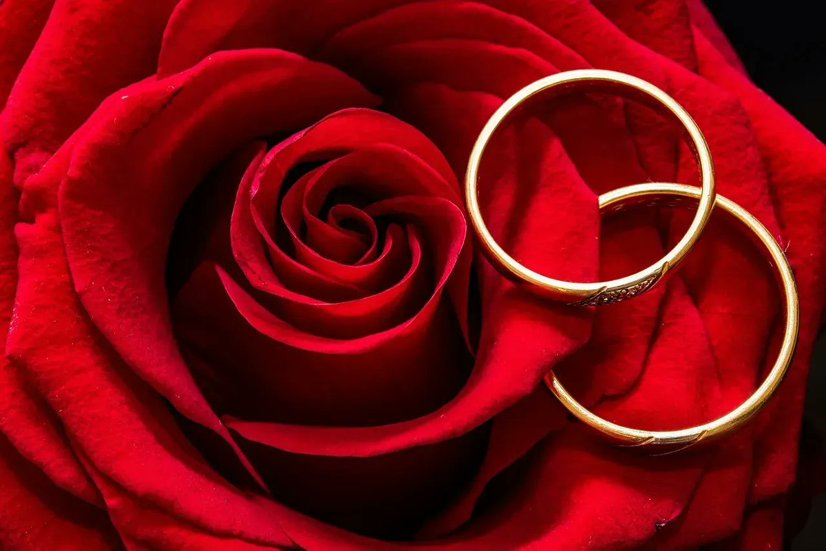 RedLightCenter's tweet photo. There've been over 7000 weddings in #RedLightCenter - That's a lot of romance!

Learn how to:
💍 Get married in RLC 
👰 Offer virtual clothing
💒 Provide wedding venues

More Info: https://t.co/kikO7lwUNx
Play: https://t.co/DxRuOXb2KI

#AdultGame #OnlineDating #VirtualSex #3DLove https://t.co/KFhtAtzHCd