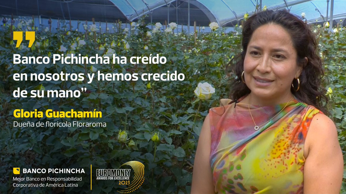 BancoPichincha's tweet photo. 🏅Liderar el crédito para mujeres y el agro, así como el fomento de la inclusión y la equidad han sido clave para que Banco Pichincha sea elegido mejor Banco en Responsabilidad Corporativa de LATAM, seg��n la prestigiosa revista británica @euromoney 
➡️ https://t.co/8UR9zXmmBO