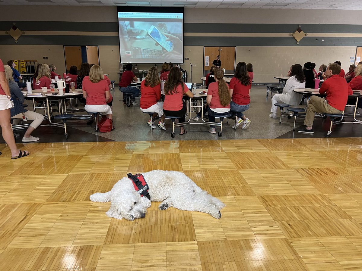 Back to school meetings make me sleepy!