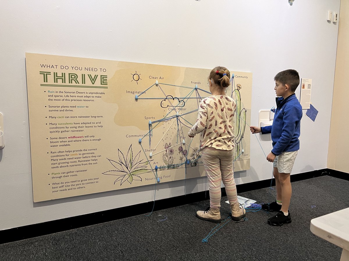 ideaMuseumMesa's tweet photo. What do you need to thrive? Come learn what seeds need to thrive in the desert. Desert Roots is on view until September 4! https://t.co/bDUu3Rtogd