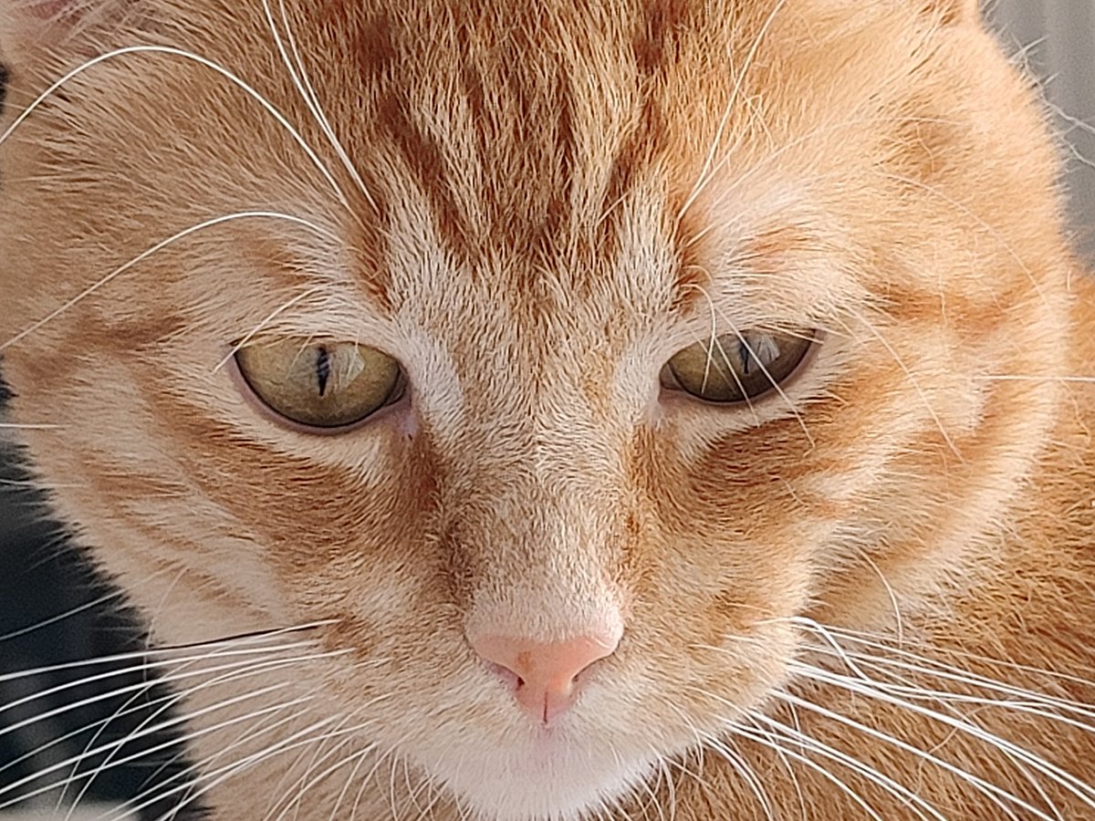 Mfw I can't share what's going on.