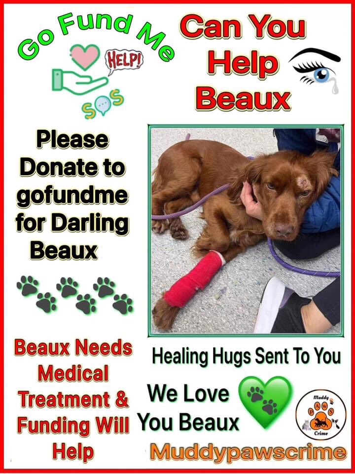 Karen Field tweet media