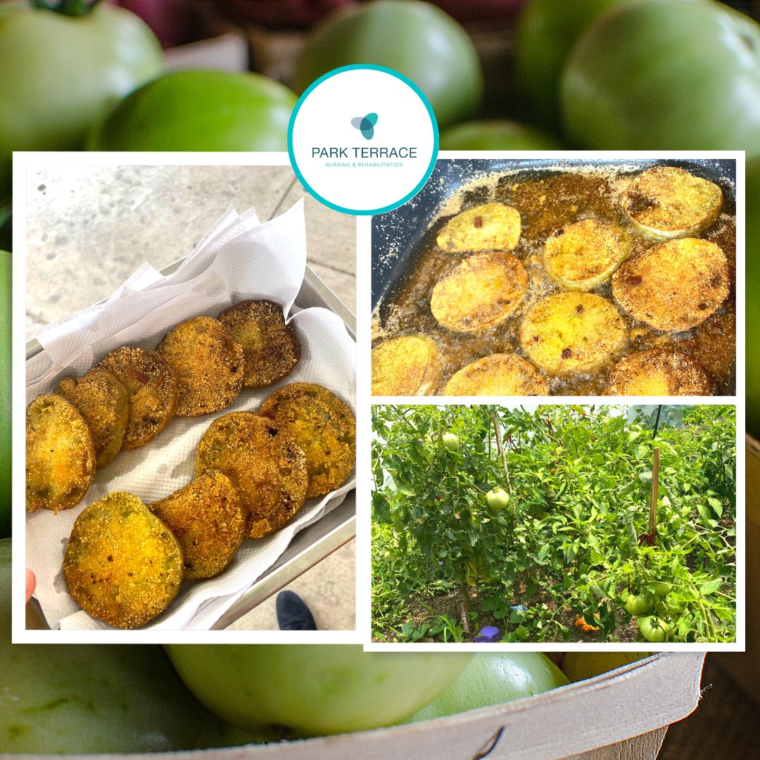 nursing_park's tweet image. We made FRIED green tomatoes and they were DELICIOUS! A tomato-filled afternoon in our facility! #GreenTomatoes #FriedTomatoes #FamilyFun