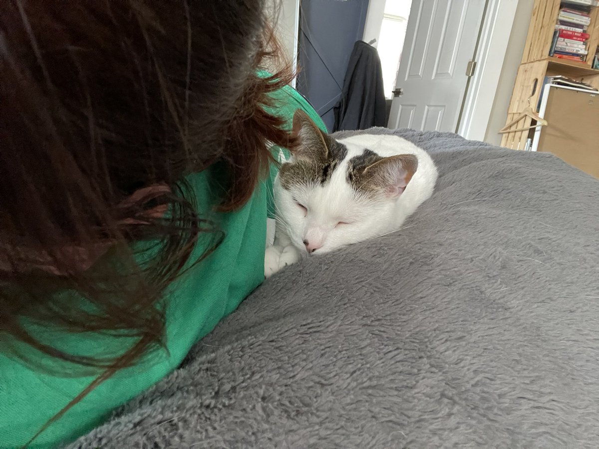 TamSilverthorn's tweet photo. The stages of Mortimer and me, after I come home from an opening shift, and I think I’m going to take a nap, but in fact, Morty is the one who always ends up napping 🫶🏻 https://t.co/3SZqFj6Czv