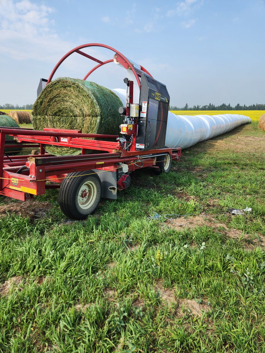 Haylage done, let's see how this works, first time. #2023haylage #alfalfa