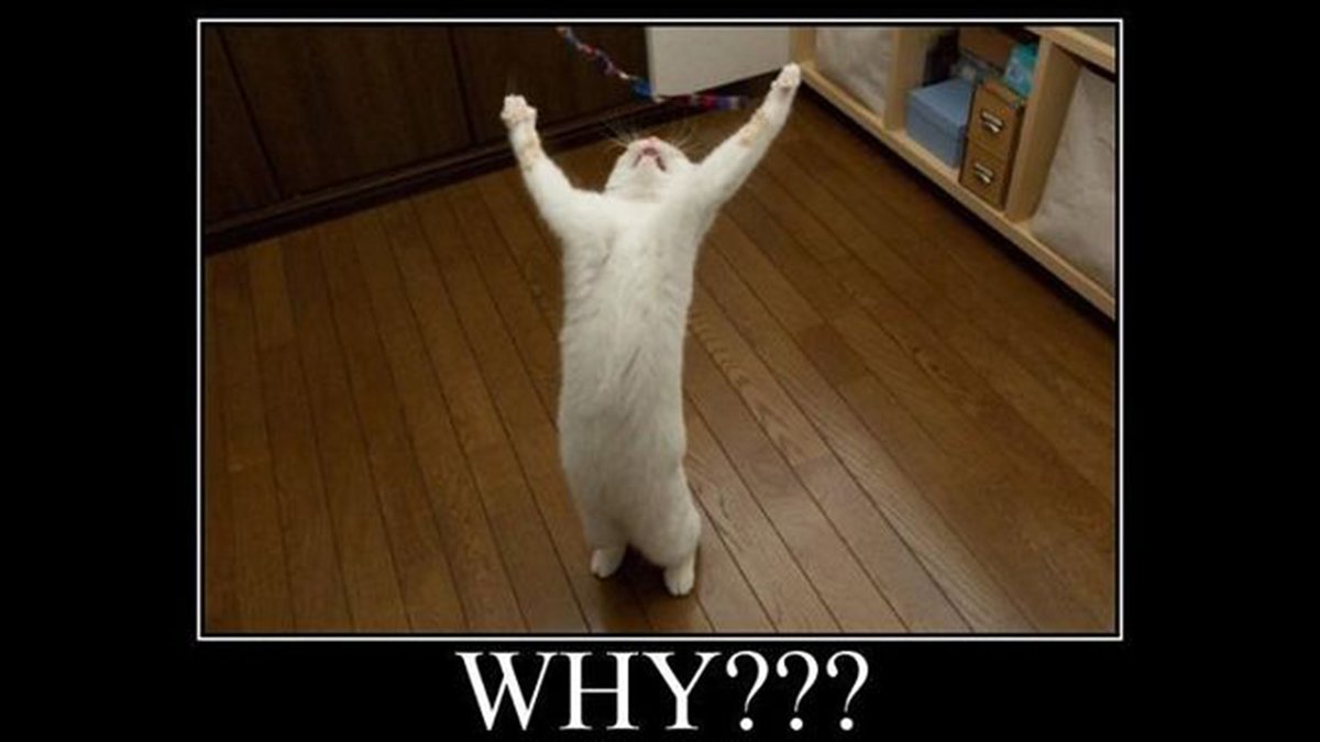 marcus_ID's tweet image. #nocomment