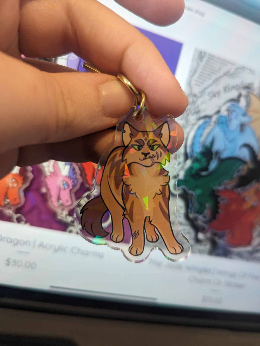 [ store special ] i've got roughly 10 error warrior cats that are either just 1 like crookedstar here, or broken, so i've taken off the other links to make them shorter -- sooo the next 10 orders with any charm from my store that put a note saying "adopting a cat!" -