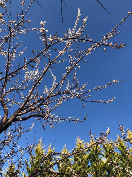 Extermco's tweet image. &quot;Adopt the pace of nature: her secret is patience.&quot; - Ralph Waldo Emerson
#ExtermcoPestControl