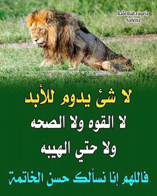 AliAli45040196's tweet photo. @Nm85Gazala https://t.co/Py71WaSA2t