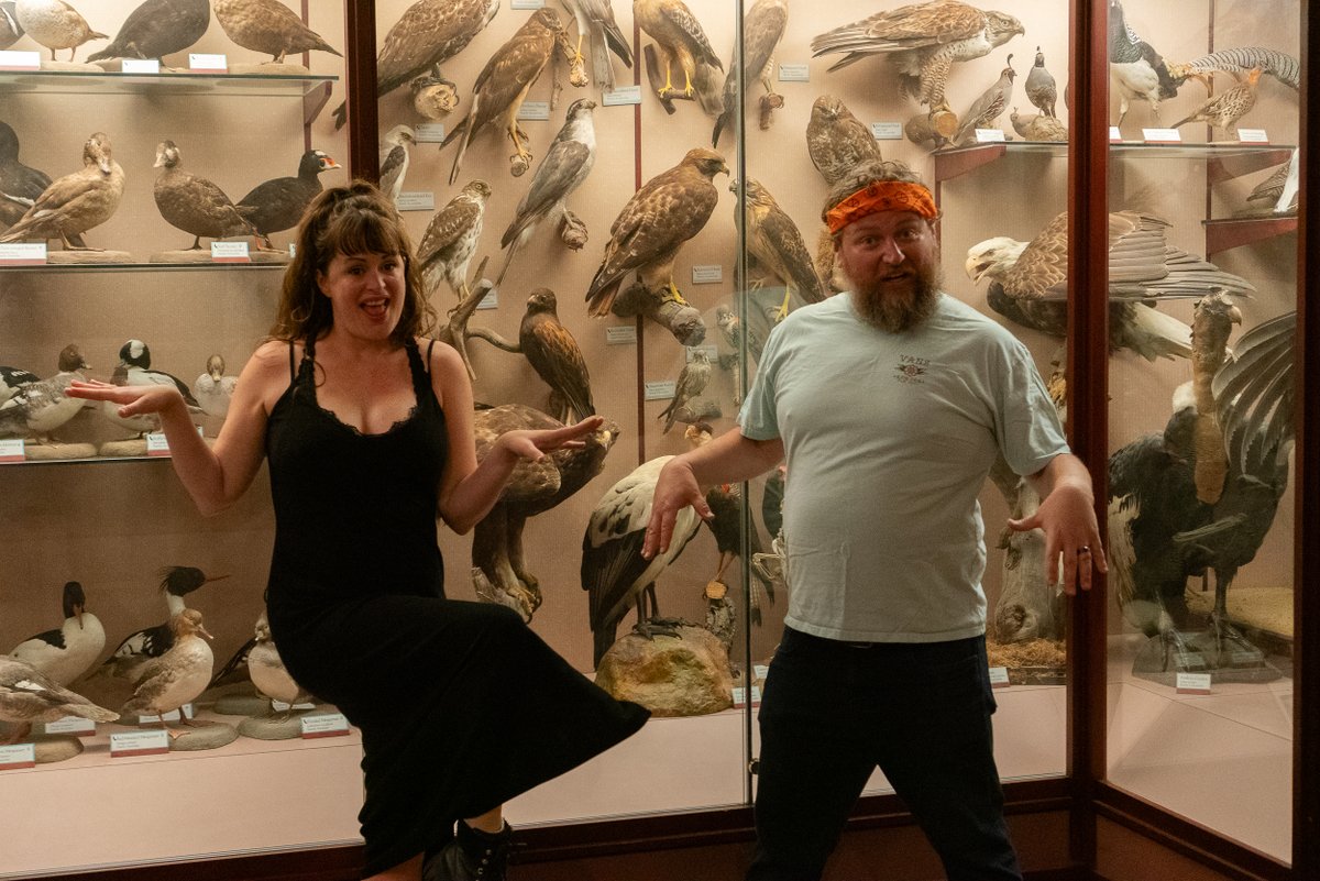 Tweet Tweet Tweet. Twitter may be X now but The @brightersidelpn is still Tweeting when they talk about Birds today. Listen to @ambersmelson &amp; Ed Larson break down such birds as the Emu, Condor, Red Tailed Hawk, &amp; Pigeon. CACACACACACA
lastpodcastnetwork.com/shows#/the-bri…