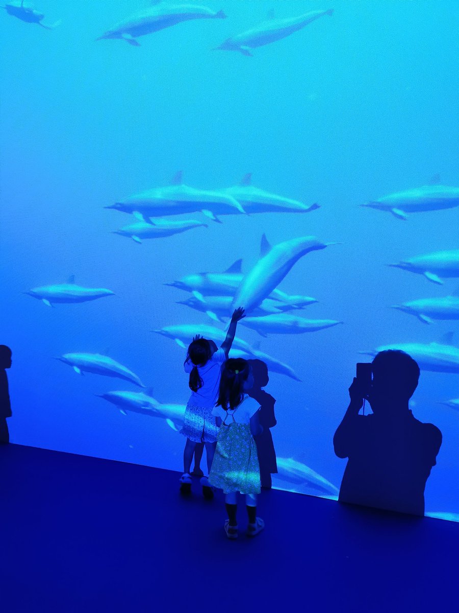LightAnimal tweet picture