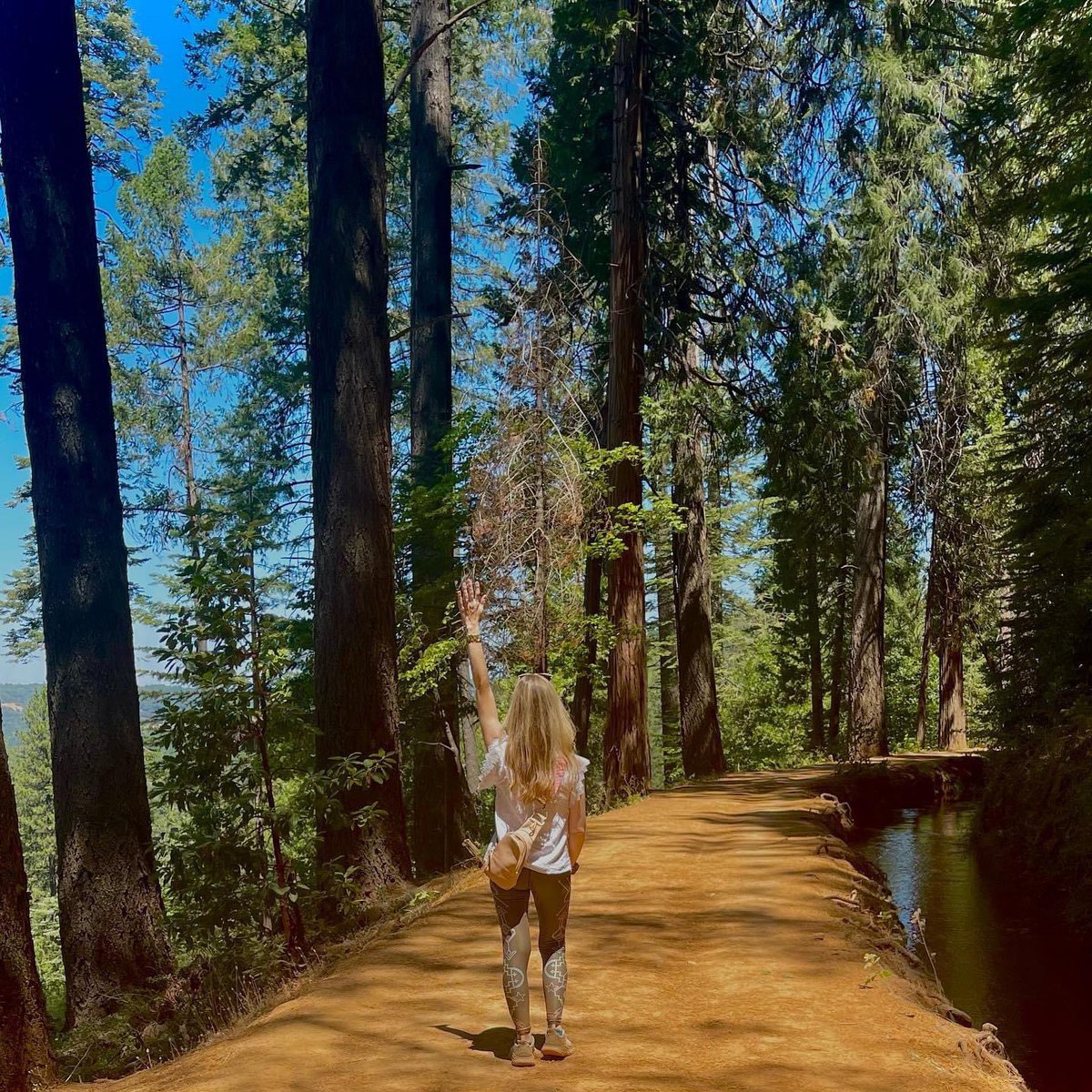 Valen Keefer tweet media