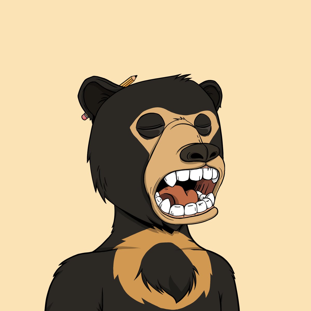 Okay Bears Sales tweet media