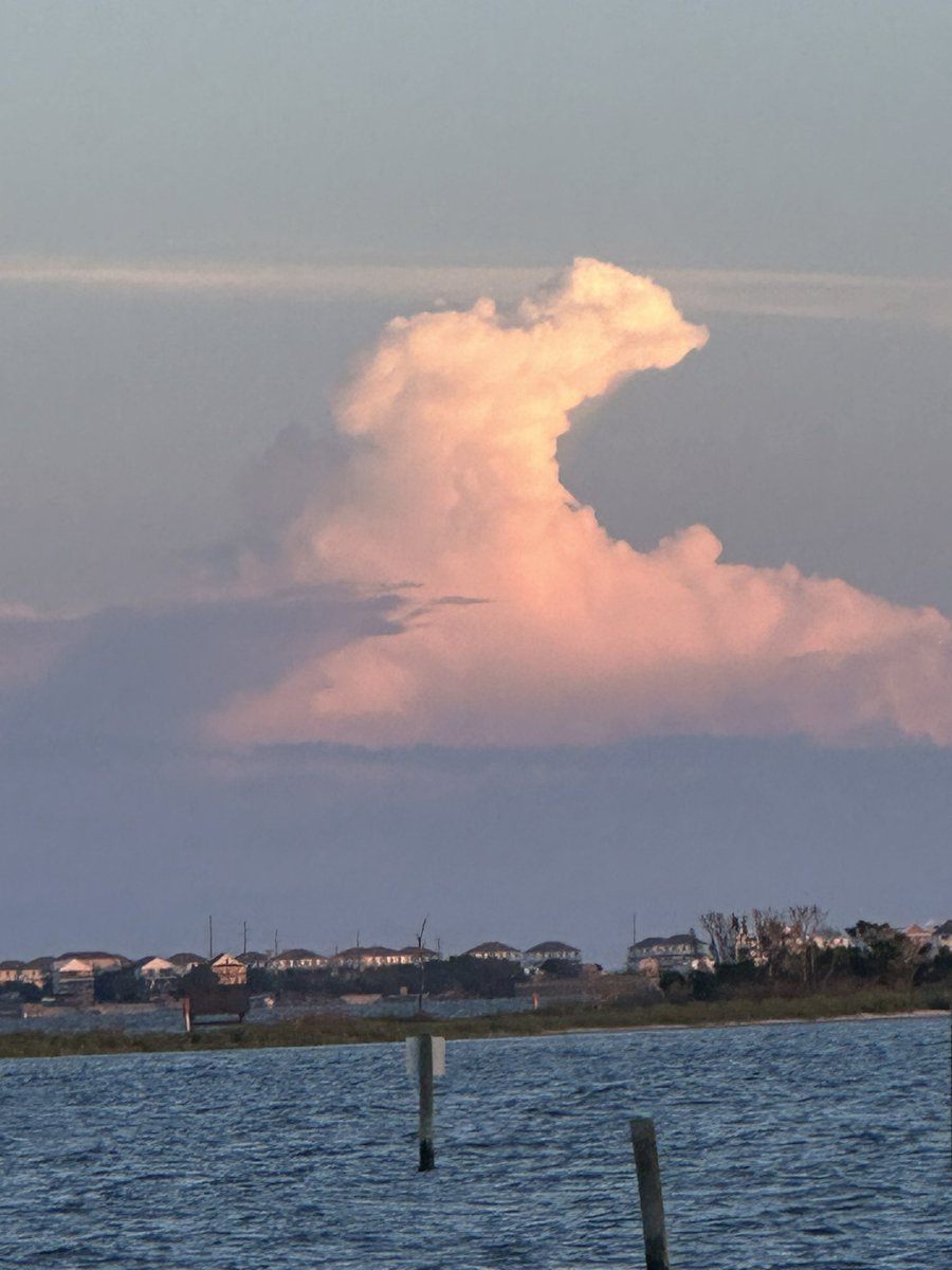 Jay Westbrook tweet media