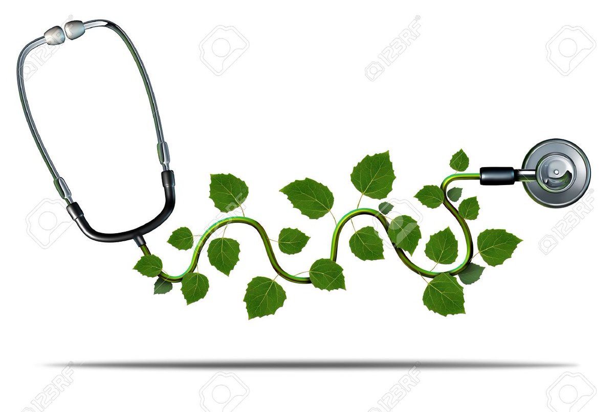 viswanat_ananth's tweet photo. @doctorsoumya @ICMRDELHI @DBTIndia @WHOWPRO @WorldBank @TheUnion_TBLH @NCDCgov @NCBS_Bangalore @TIGS_India Genomics includes the scientific study of complex diseases such as 💚 disease, asthma , diabetes, Cancer #tRNA #RNApolymerase #enzymes #exon #intron #protein #EM #SEM @rashtrapatibhvn @VPIndia @DrNKalaiselvi @shekhar_mande @Rengalakshmi10 @RenuSwarup  #technology @francesarnold https://t.co/Mr6oxmU5iW