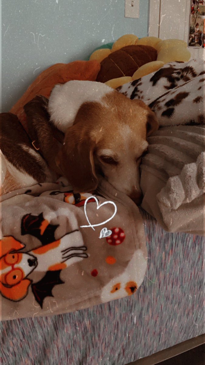 Happy Friday 🩷🩷