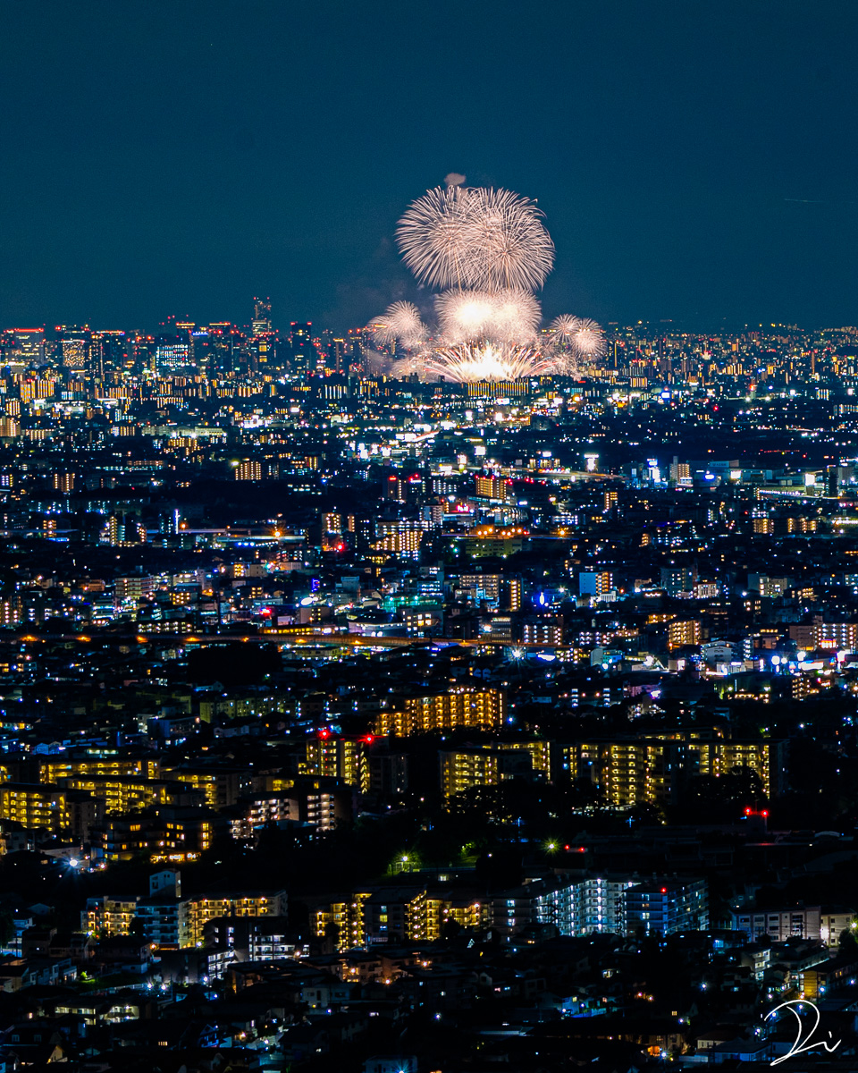 大阪の夜景を彩る、淀川花火大会