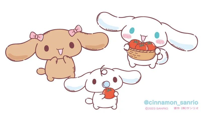 シナモン【公式】 on X: 