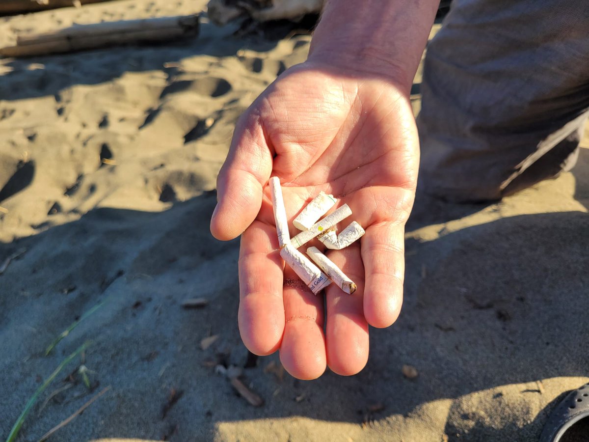 dickey4council's tweet photo. Our beaches are not ashtrays! Discard cigarette butts where they belong. Thx for helping keep our beaches clean. #gilbertbeach #richmondbc @Richmond_BC @TheRichmondNews https://t.co/Ul18id0JvW