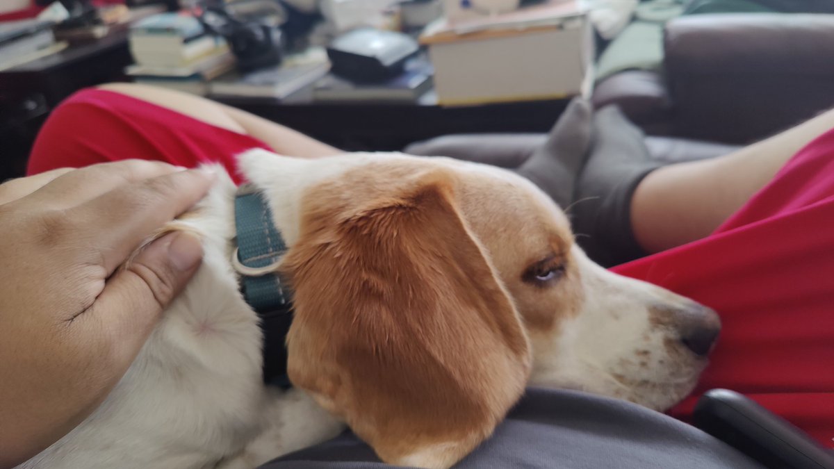 tokyothrowdownn's tweet image. Unlike Dewey, don't sleep
🚫💤

Magic is happening faster than you think

@Magically_gg 

#magically #airdrop