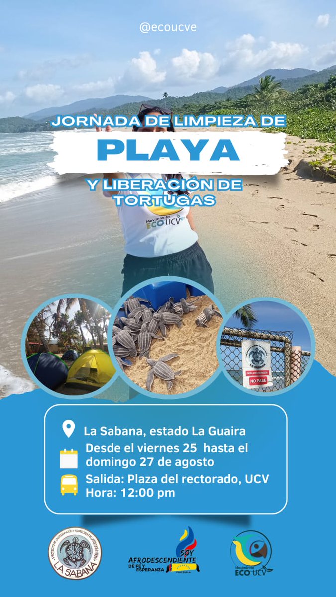 #4Ago Limpieza de playa y liberación de crías en La Sabana. Se requiere contribuir con $4 por el traslado.