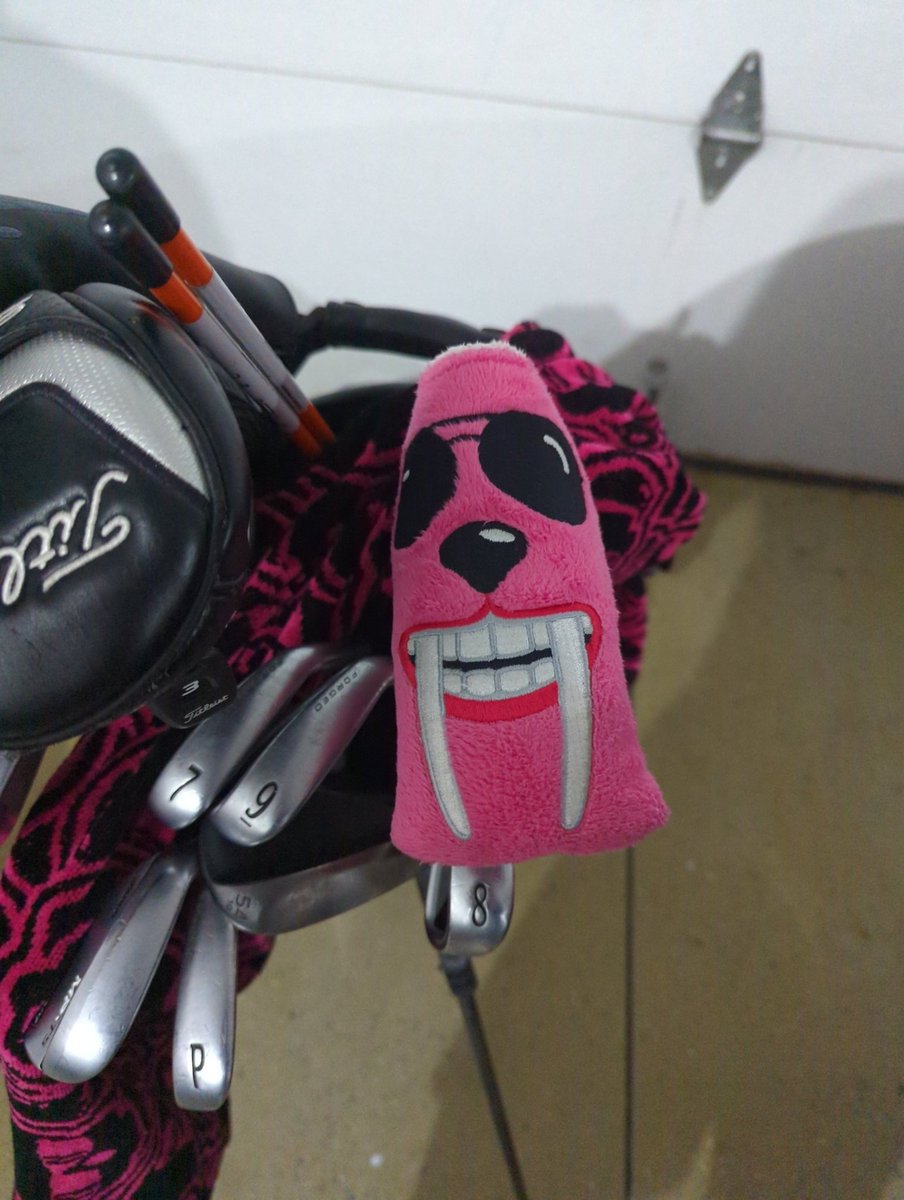 Tyler Adamson tweet media