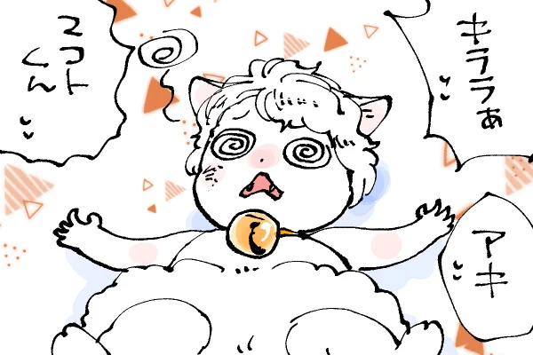 🐱キラキラにゃんこ生活 よっちゃんあわわ😂