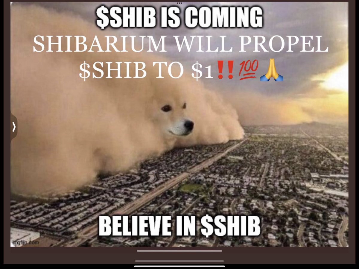 ShibariumGem tweet media