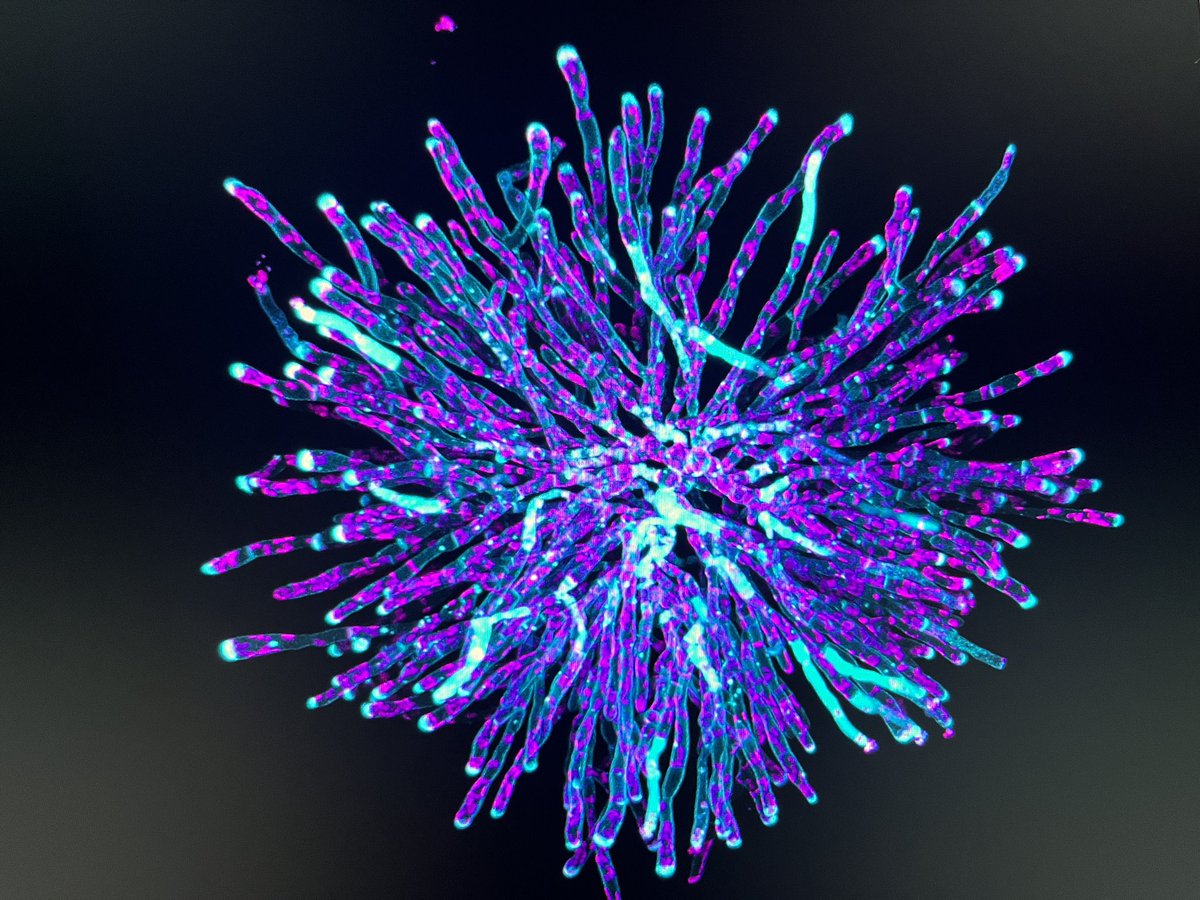 Siobhan Braybrook 🏳️‍🌈🌱✊🏻 tweet media