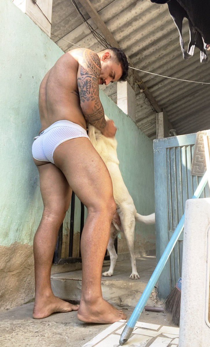 HenriqueDonavan's tweet photo. Meu doguin 🐶#pipica https://t.co/tAUFtMfu8K