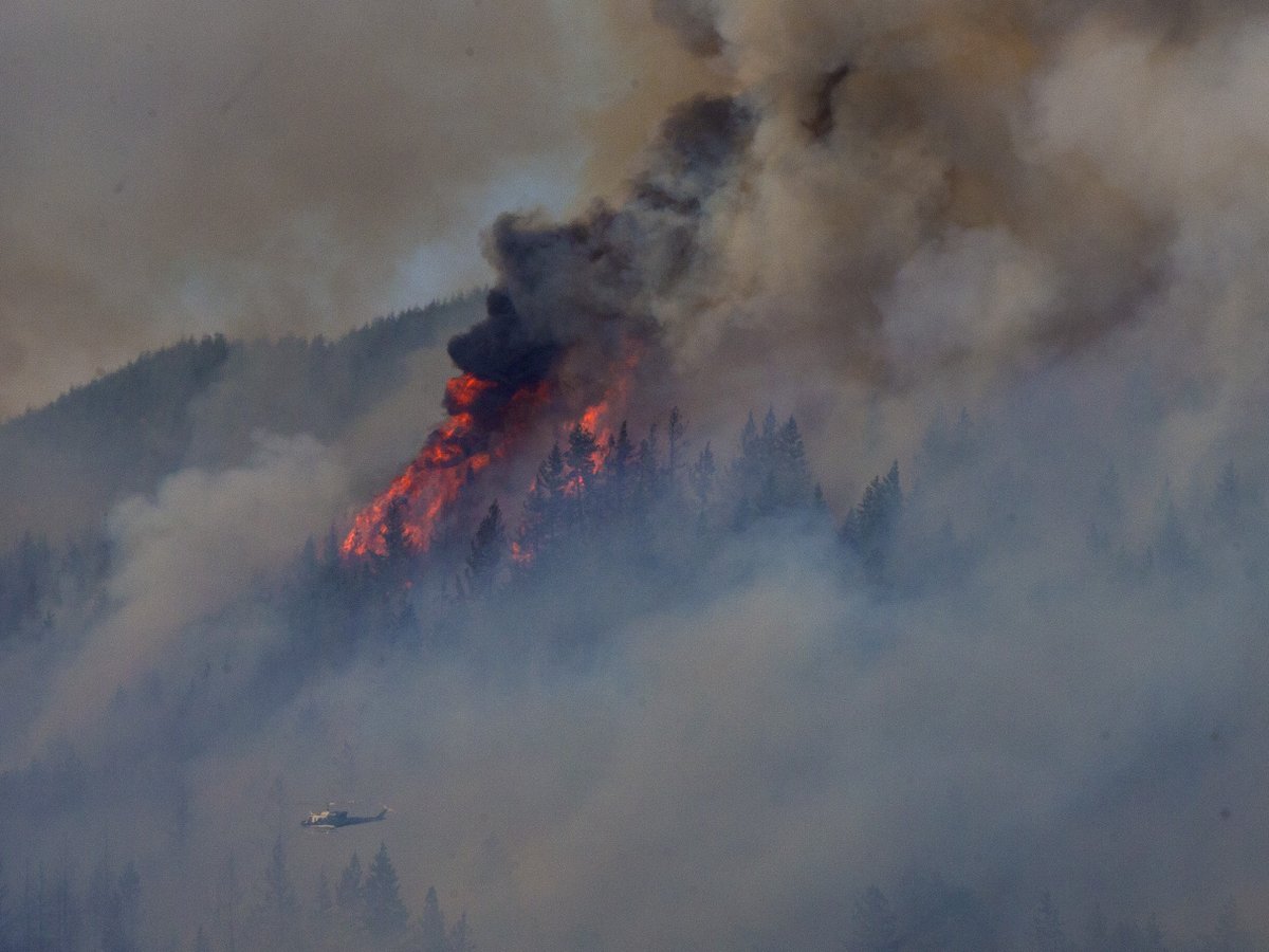 Level 3 evacuation issued for wildfire reported outside Harrisburg, Oregon. <a href="/registerguard/">The Register-Guard</a> #wildfire

registerguard.com/story/news/loc…