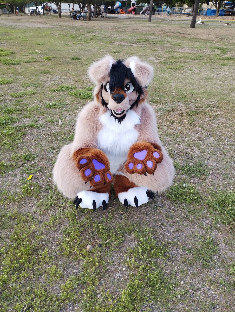 #FursuitFriday #comissionsopen #Fursuits