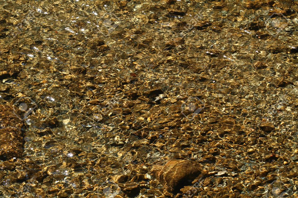 velvia100's tweet photo. Clear stream
https://t.co/fcS73bXzhX
#Clearflow #river #water #ripple #clear #riverbottom #stone #brown #nature #landscape #Japan https://t.co/vu8JU7Piir